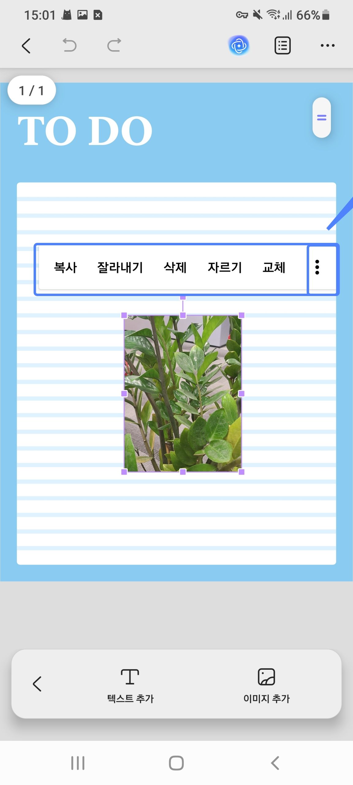 이미지 수정 형식