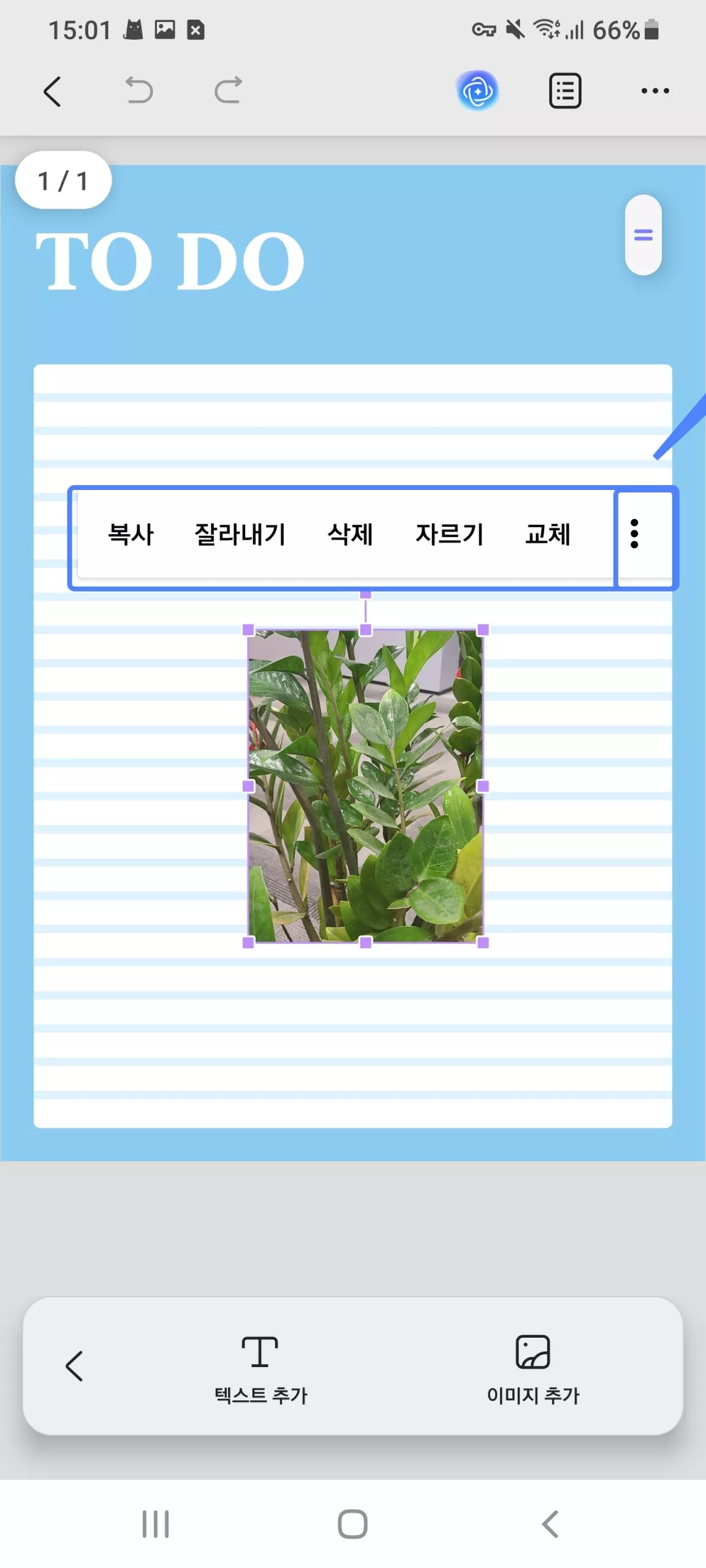 이미지 수정 형식