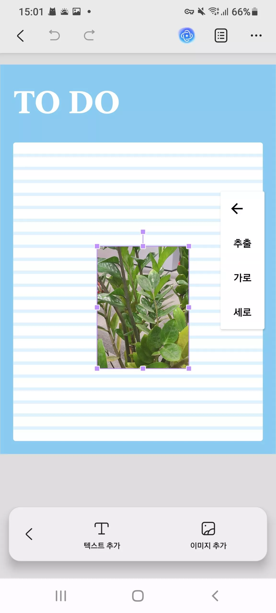 이미지 수정 형식