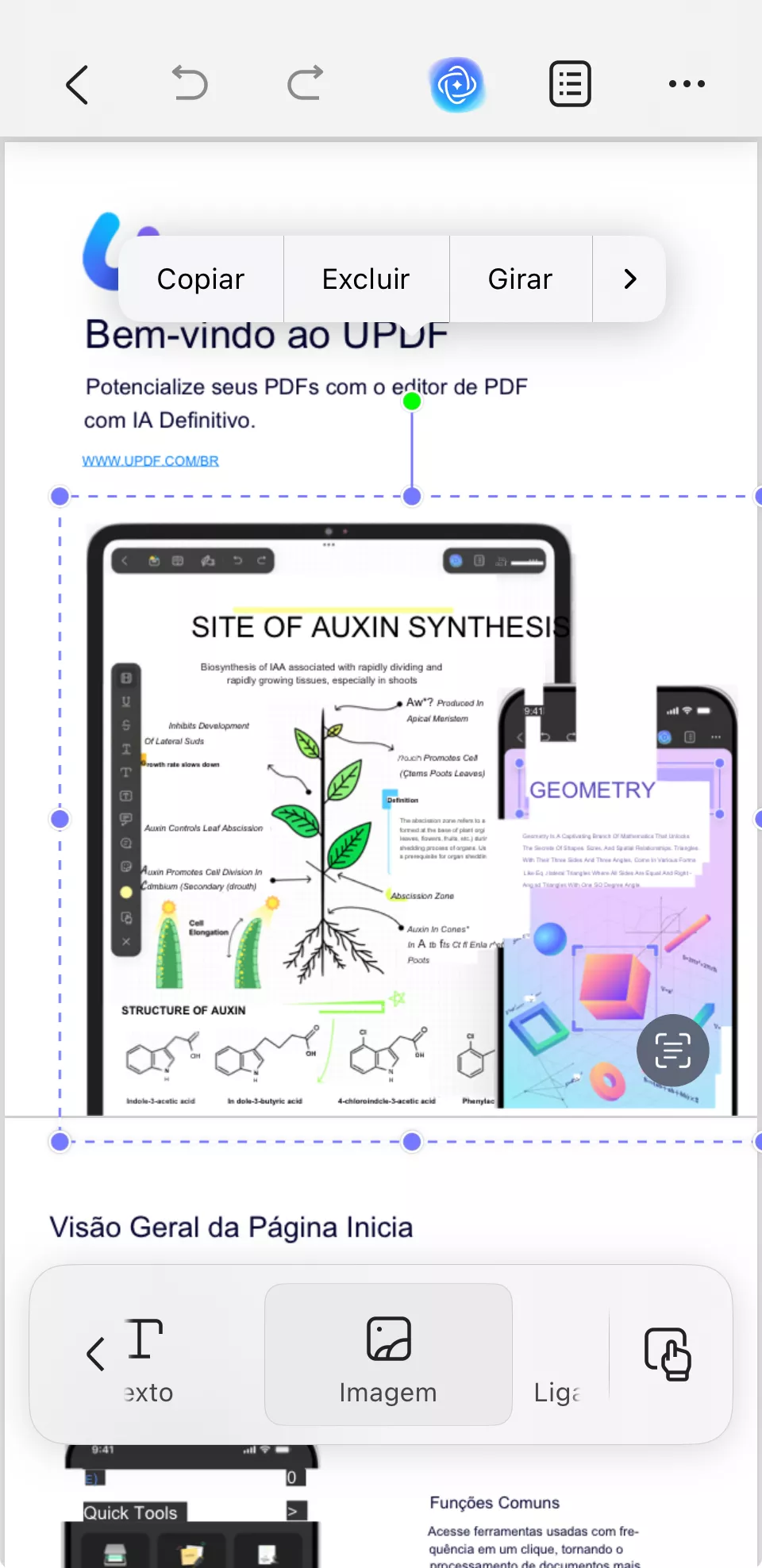 editar imagens em pdfs