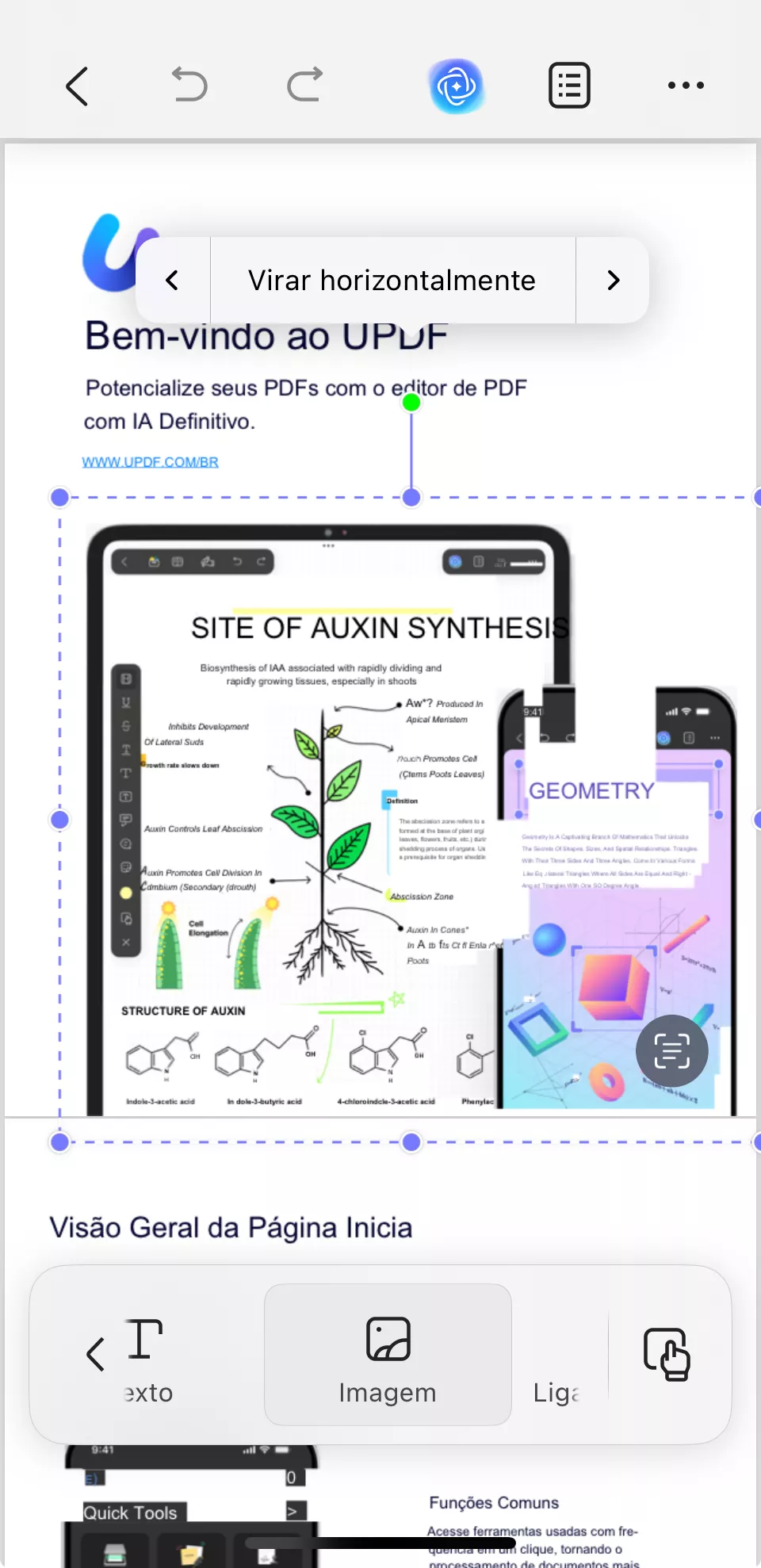 editar imagens em pdfs