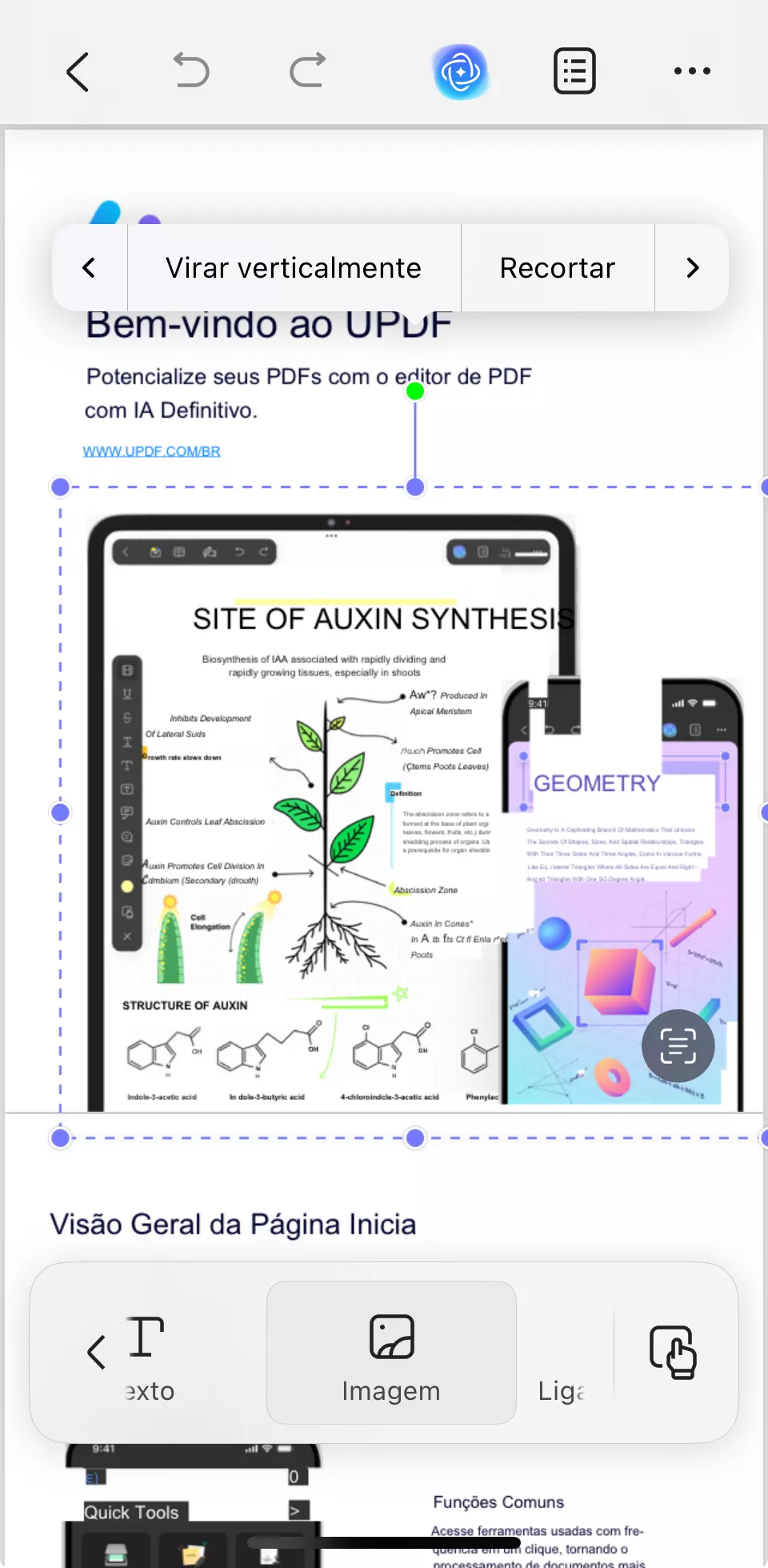 editar imagens em pdfs