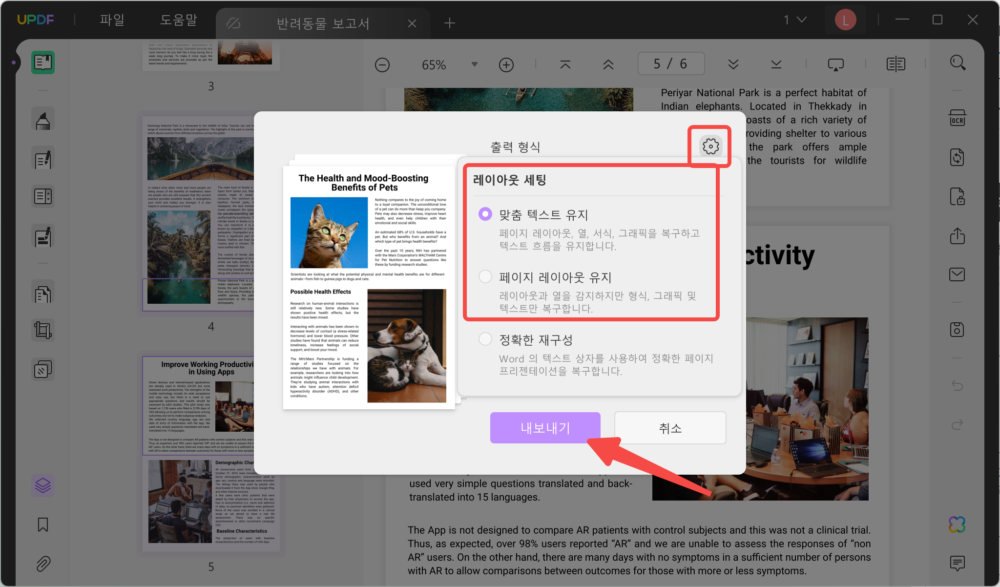 레이아웃 설정