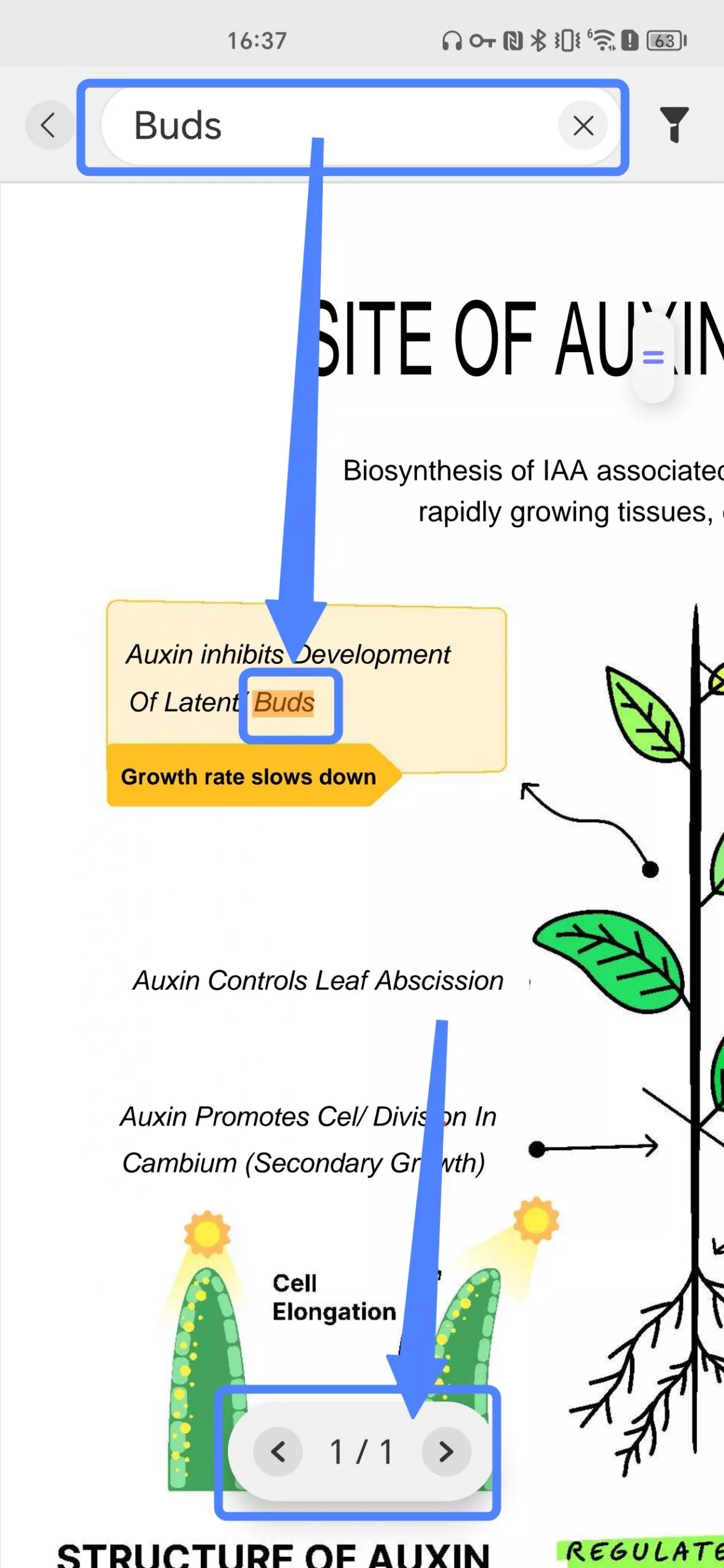locate the word in pdf