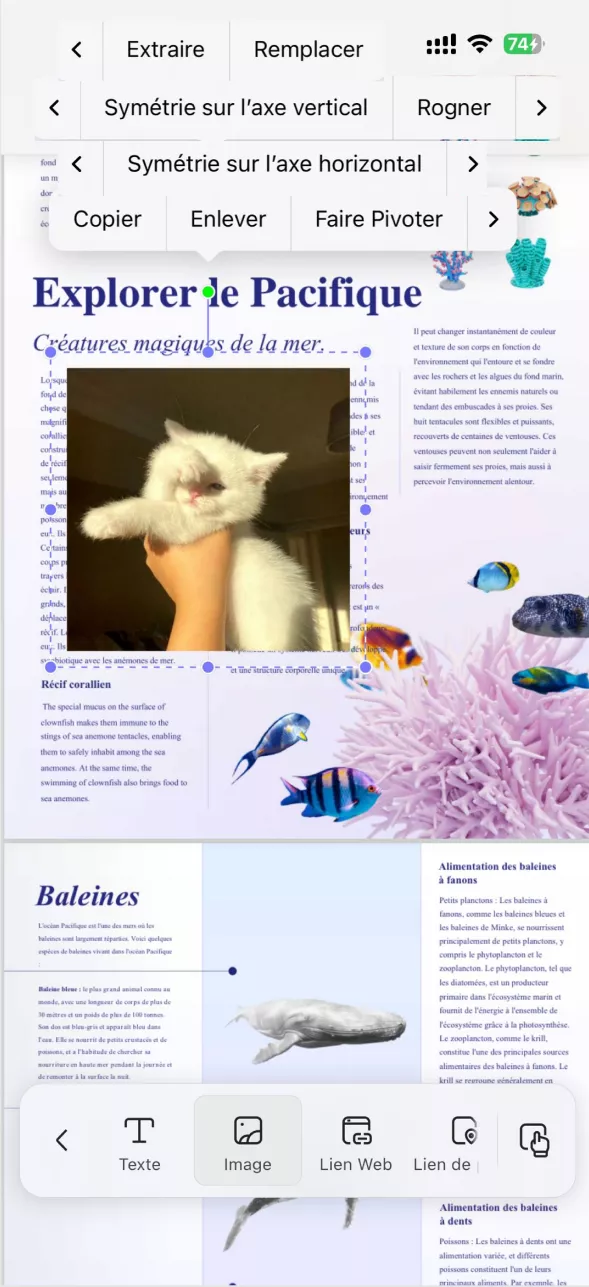 Éditer des images dans un PDF sur iOS