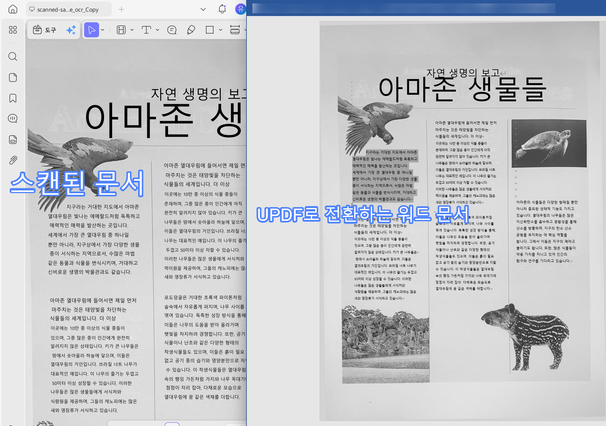 UPDF로 스캔 PDF를 Word로 변환하기 전후 비교