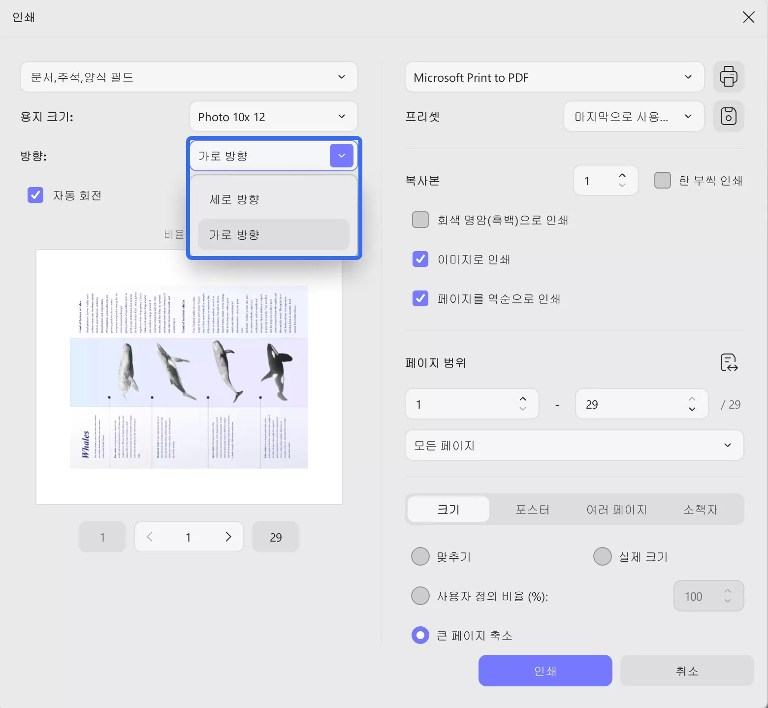 인쇄에서 pdf 회전하기