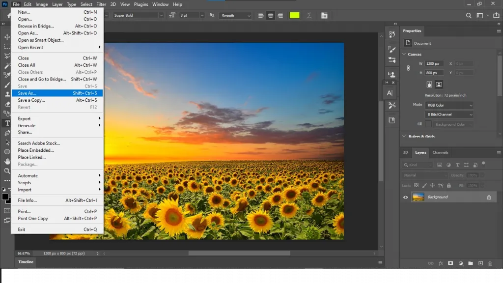 can you download your photoshop images as pdf