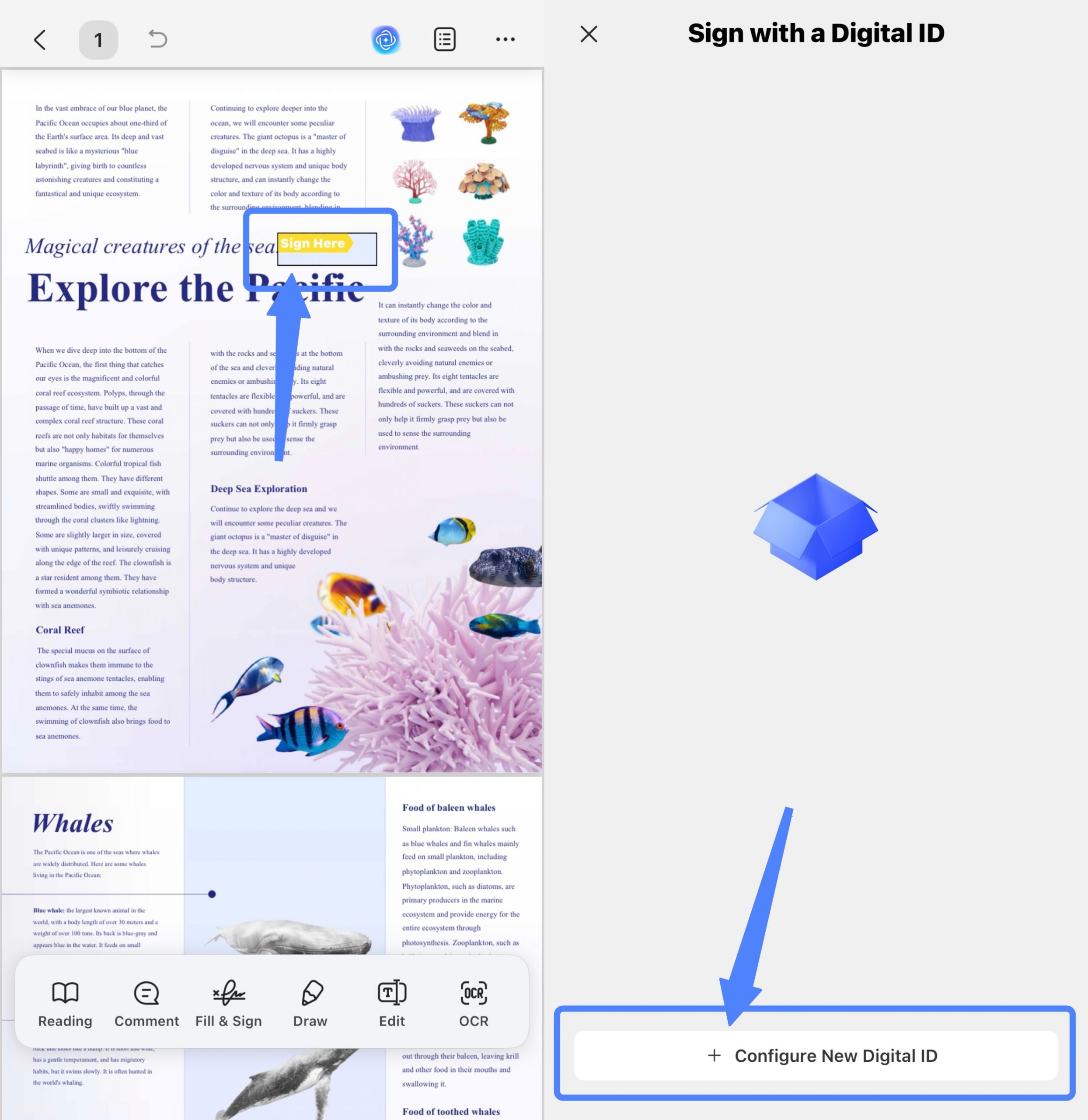 tap on the digital signature field