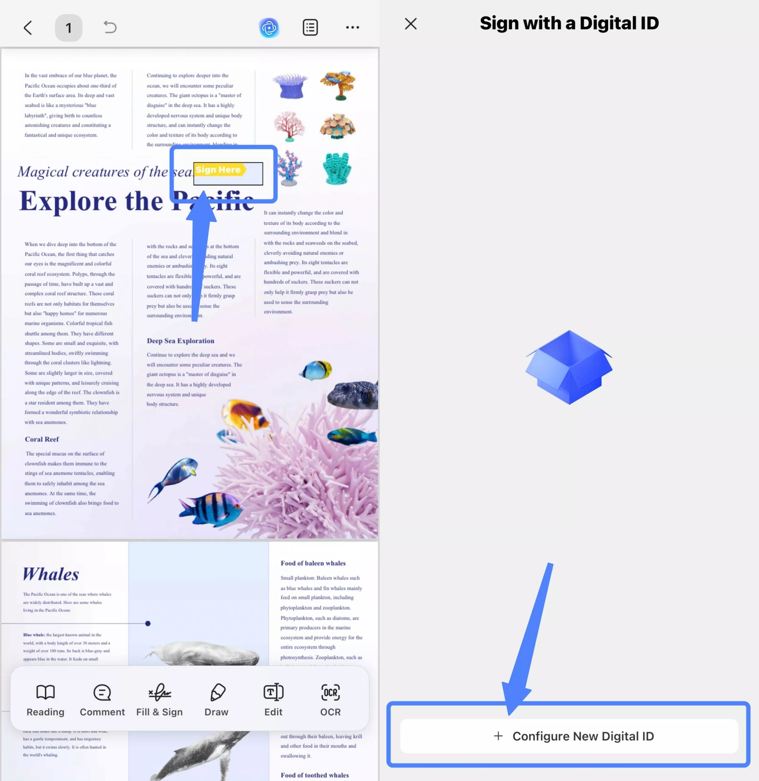 tap on the digital signature field