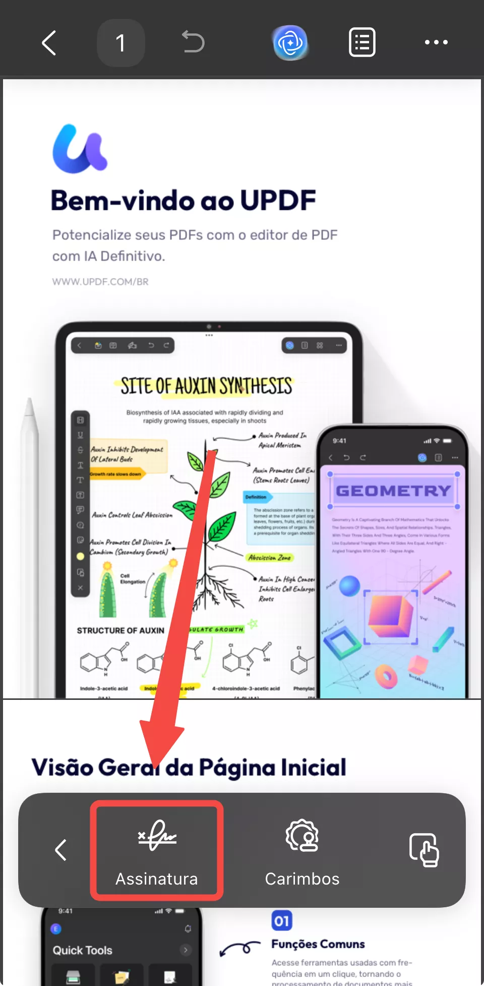 adicionar assinatura