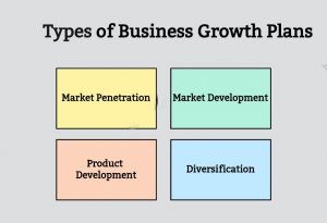 explain how to develop a business plan for market growth