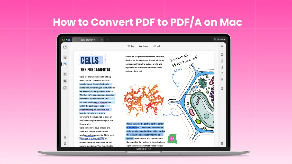 Learn How to Convert PDF to PDF/A on Mac (macOS Sonoma Compatible)