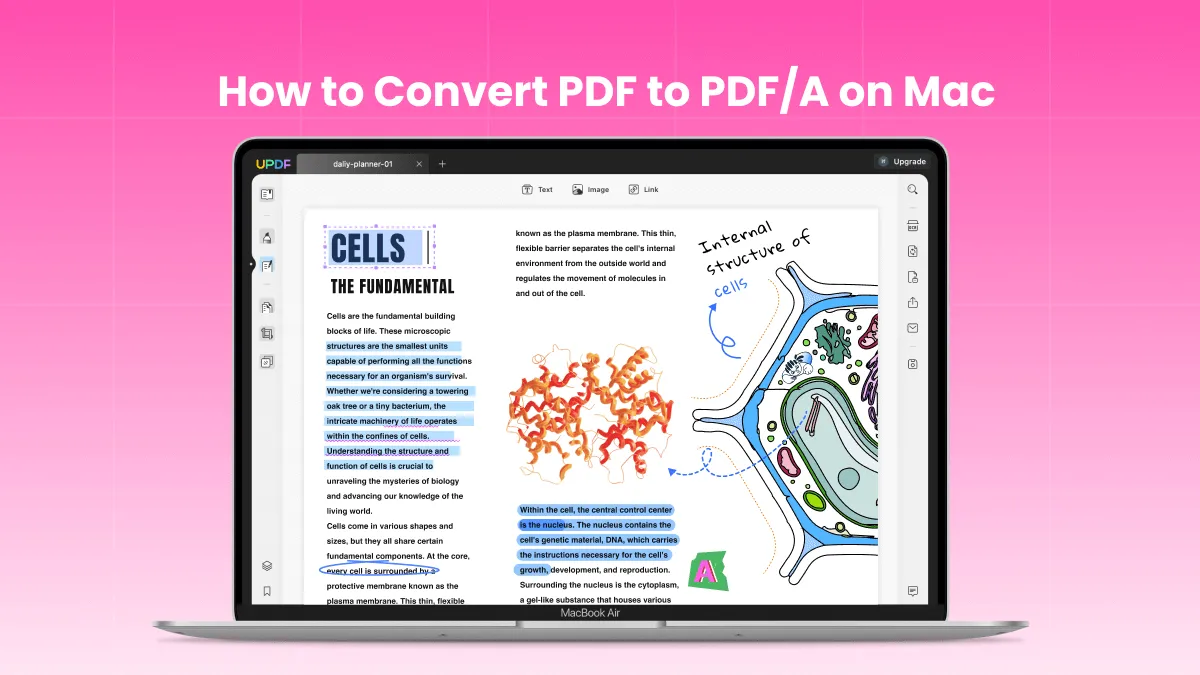 All PDF Tips on macOS