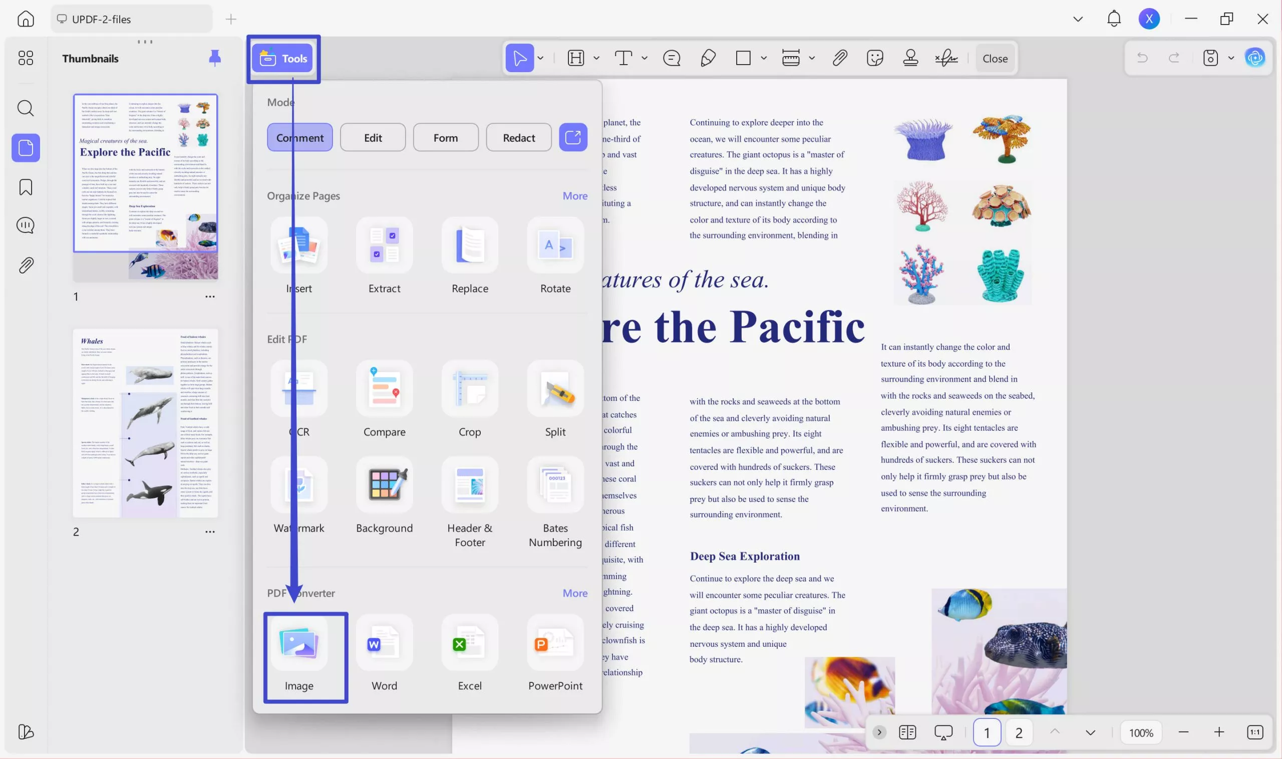 export pdf to image
