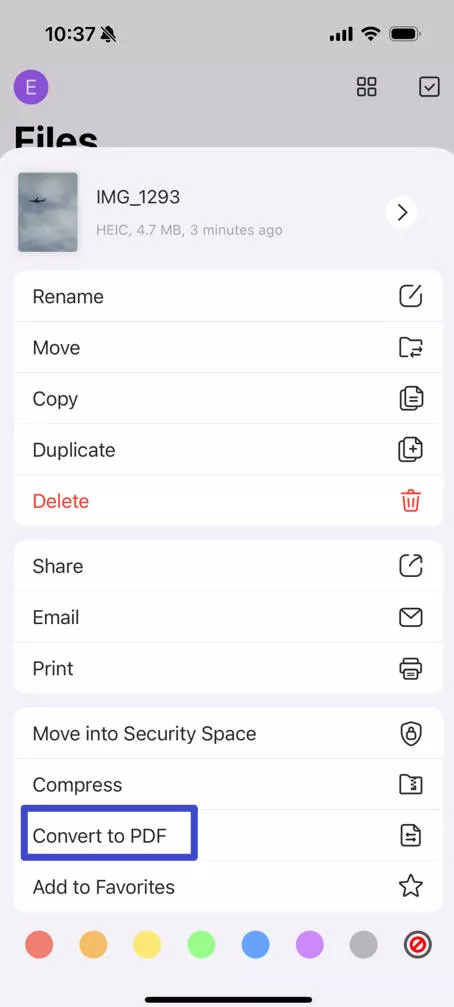 convert to pdf