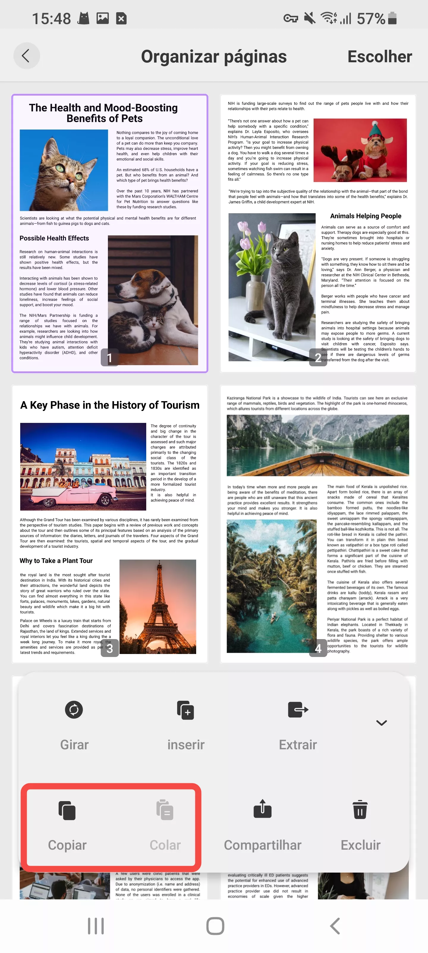 copiar e colar páginas