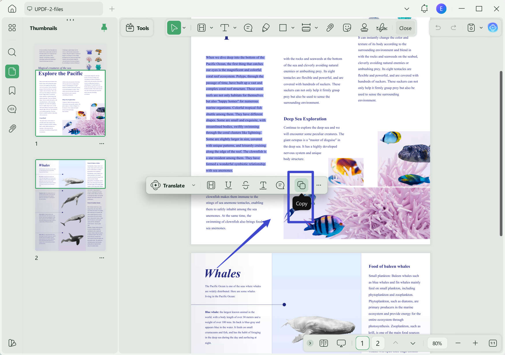 Copy text from PDF using UPDF to Translate PDF from French to English