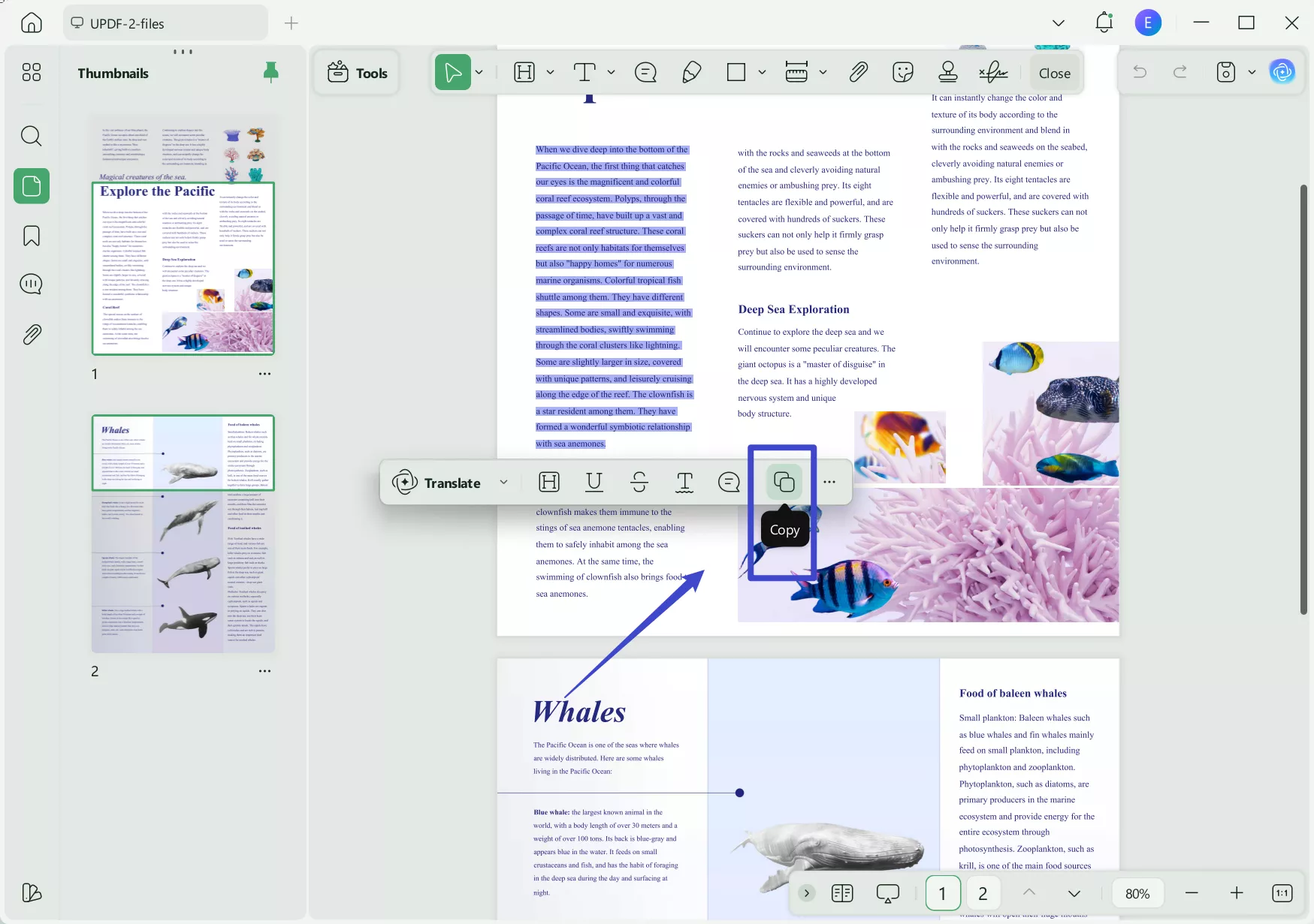 Copy text from PDF using UPDF to Translate PDF from French to English