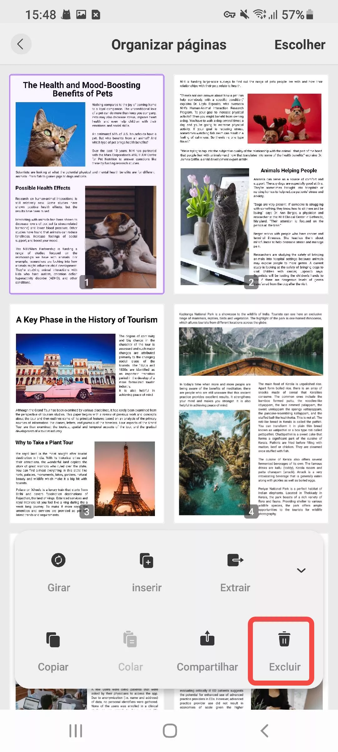 excluir páginas