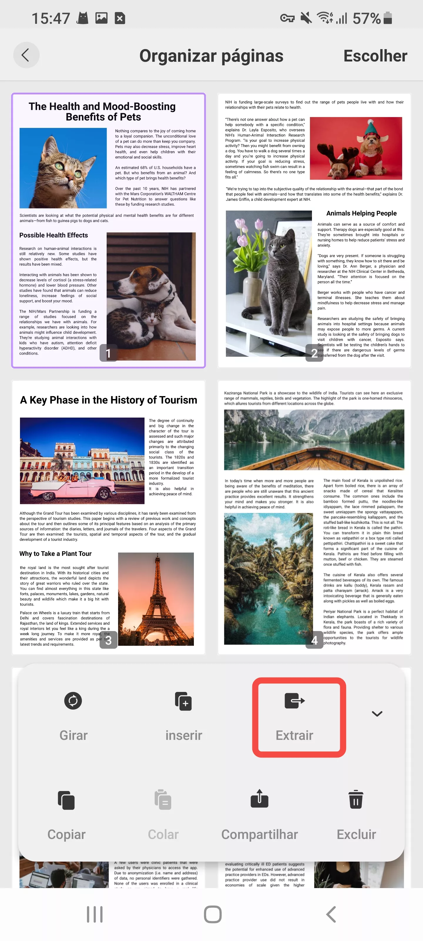 extrair páginas