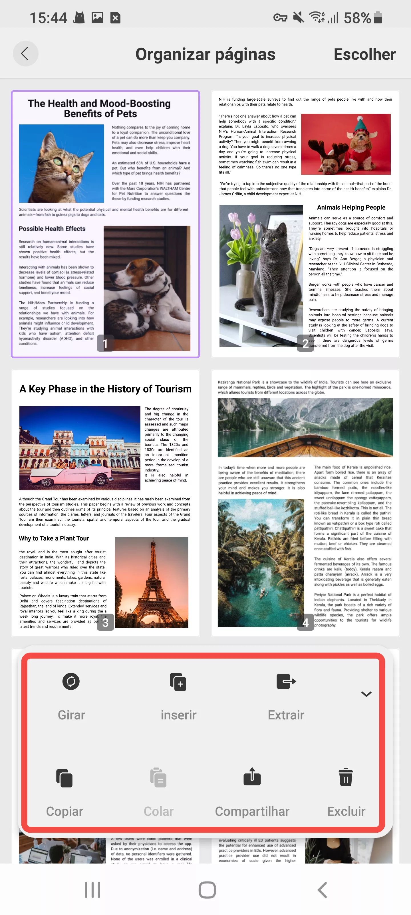 organizar páginas