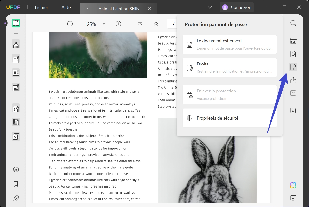 2 méthodes pour supprimer la protection d'un PDF UPDF