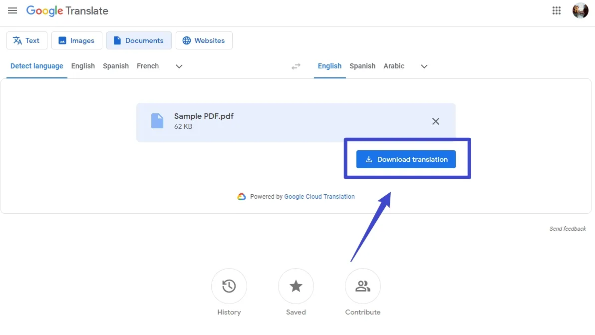 Google Translate PDF Download