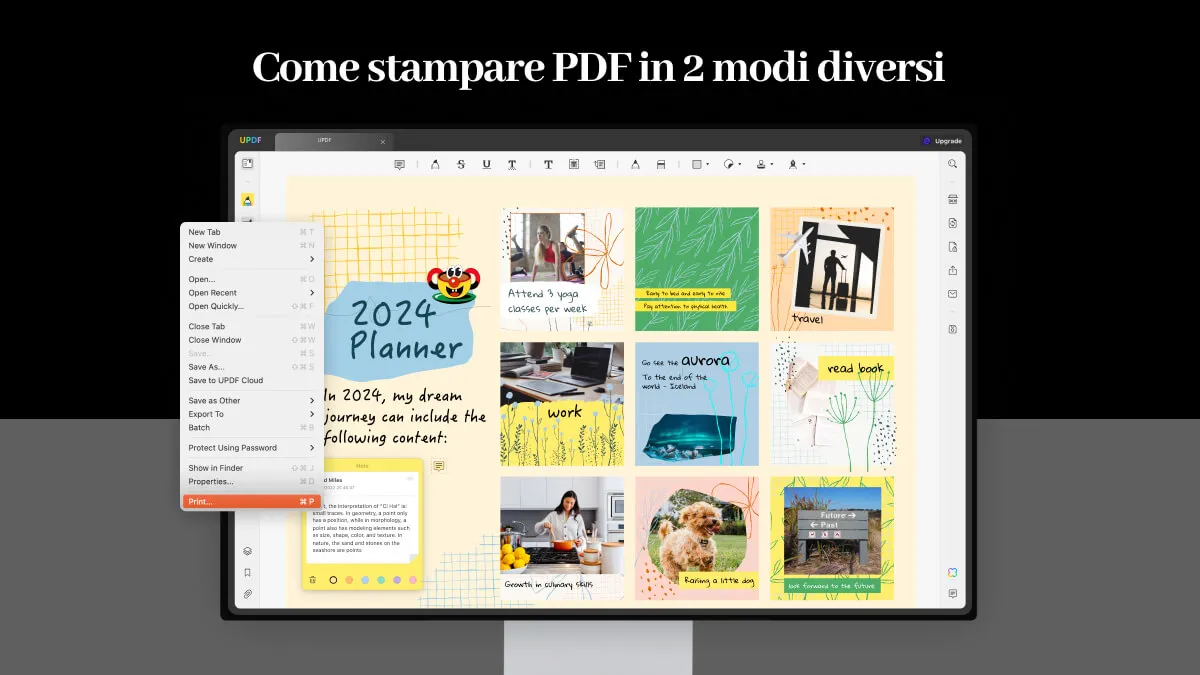 Stampare PDF offline e online