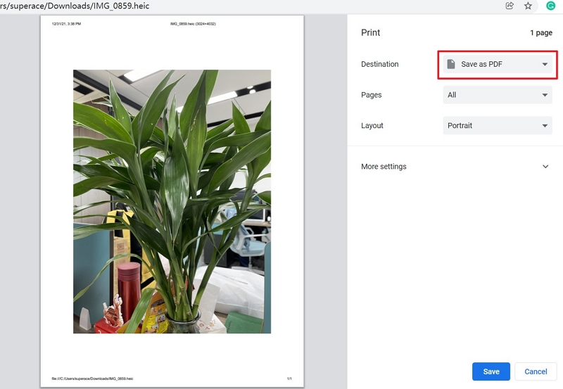PDF-Passwort in Chrome entfernen