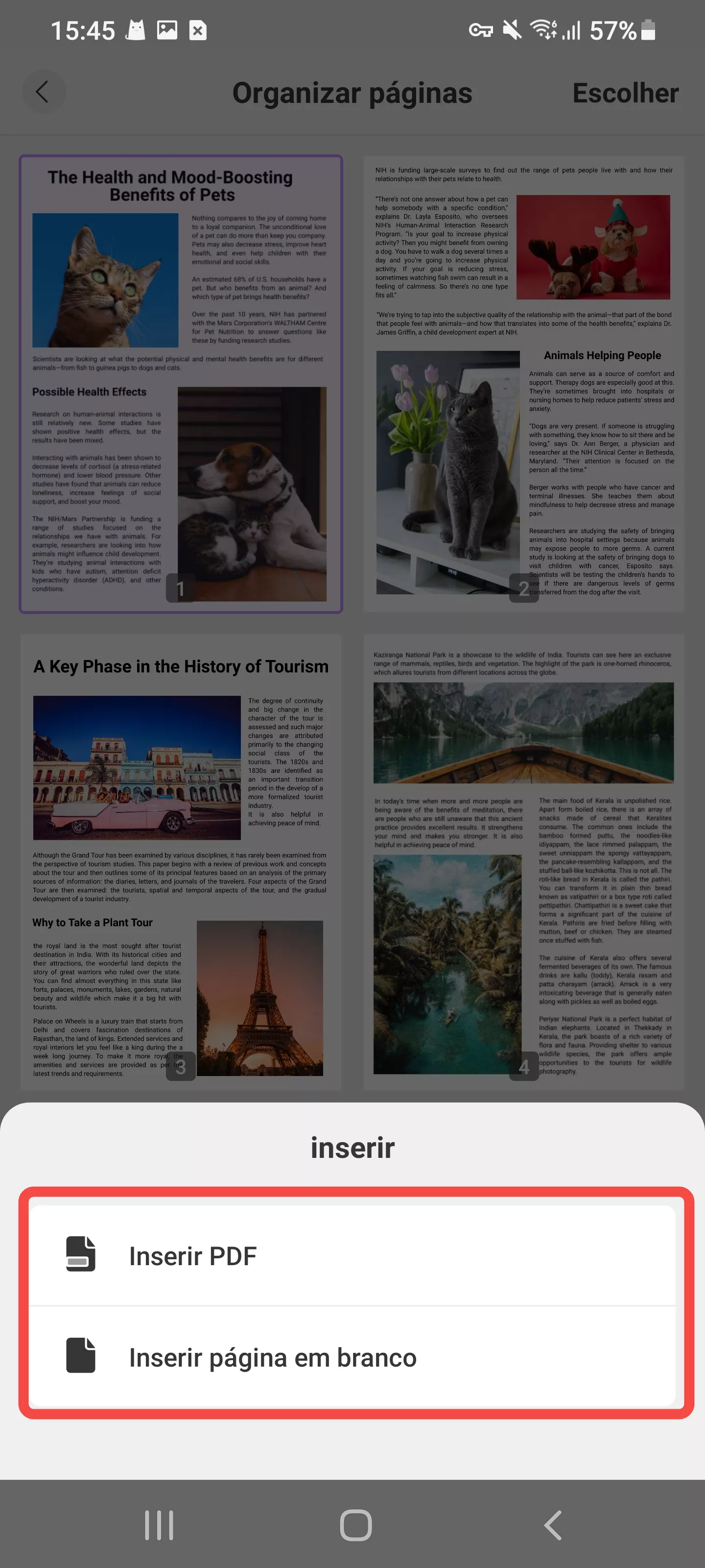 inserir páginas diferentes no android