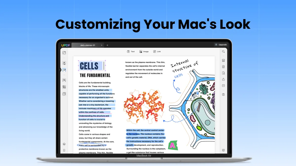 Customizing Your Mac's Look: Turning ON and OFF Mac Dark Mode