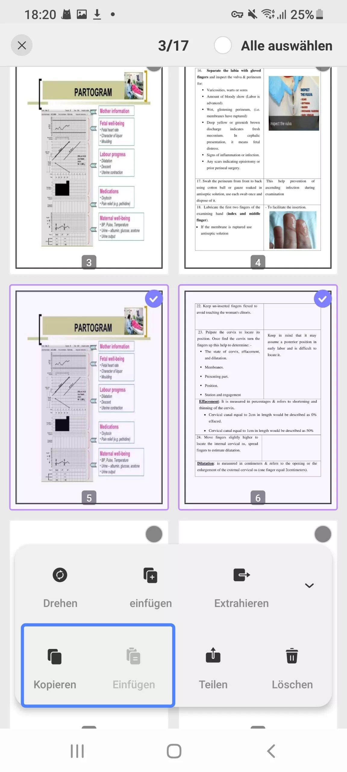 Seiten kopieren und einfügen