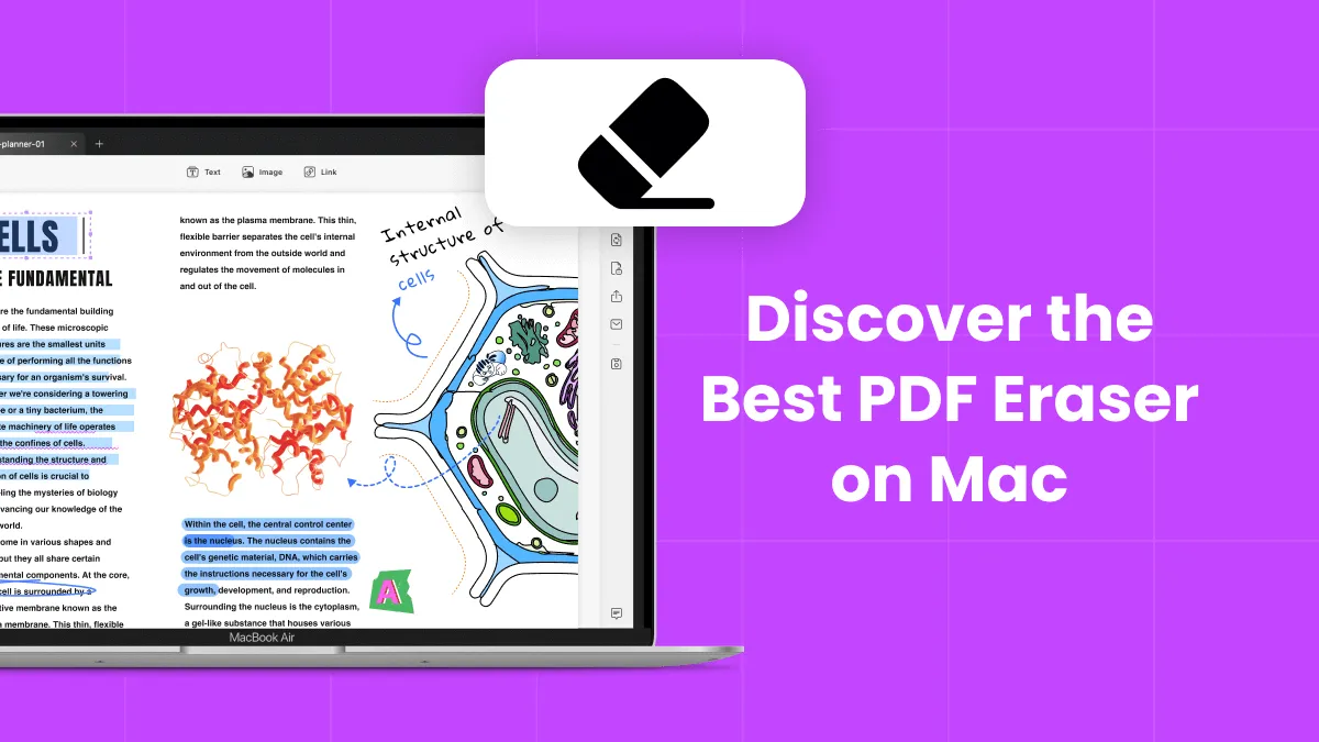 Discover the Best PDF Eraser on Mac and How to Use It Without Damaging the Layout