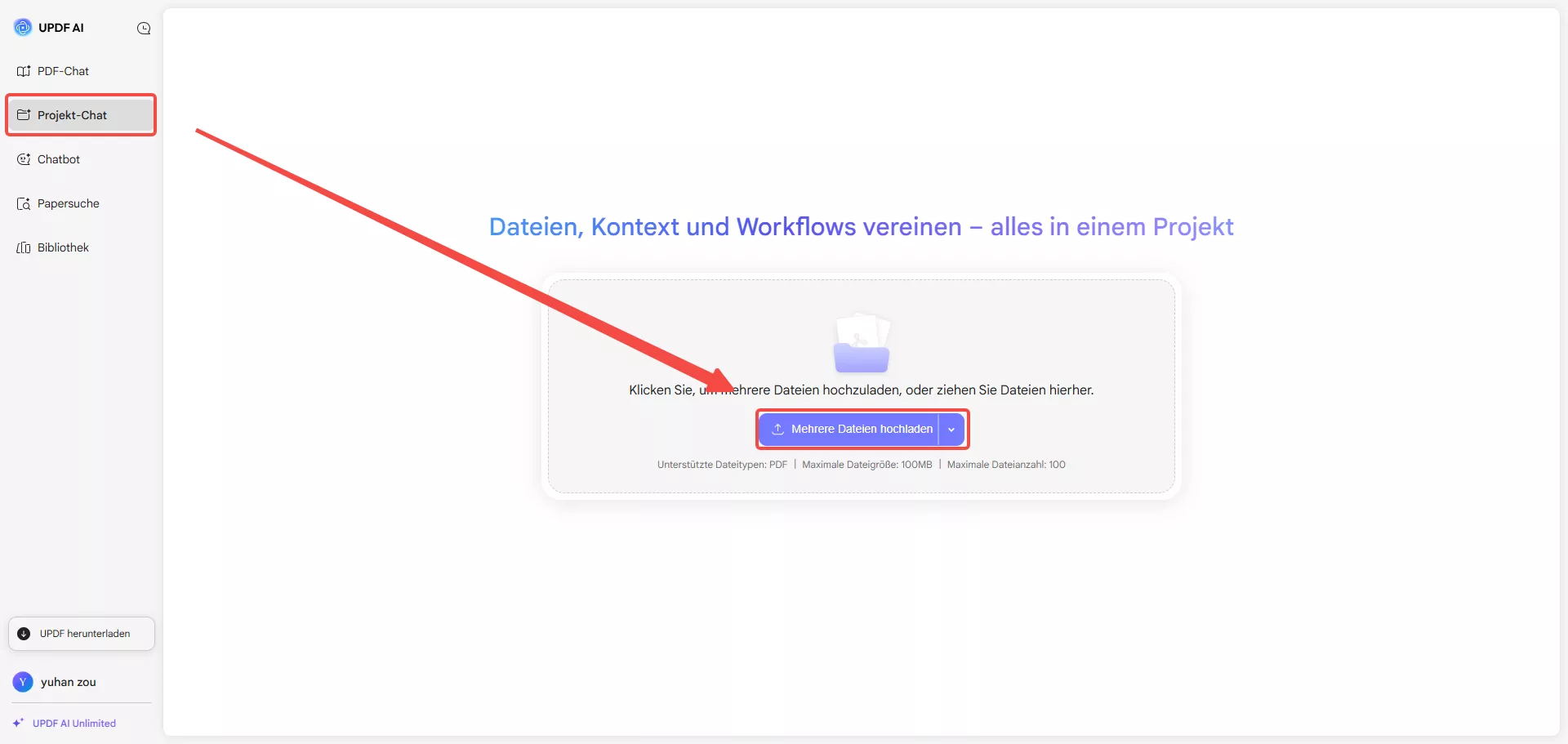 Mehrere PDFs mit Chat-Projekt übersetzen