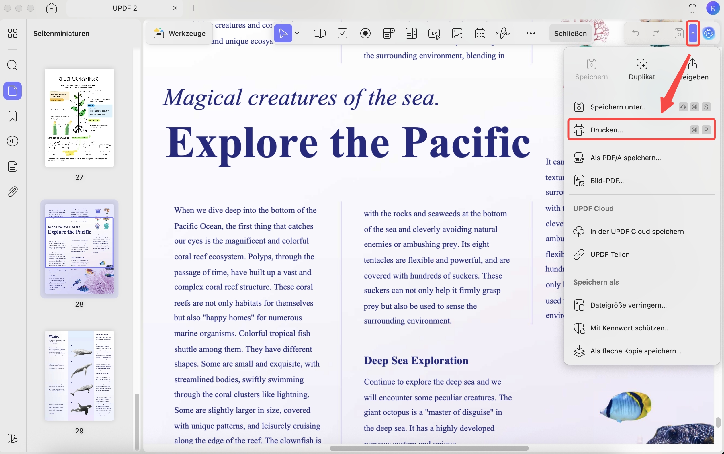 PDF ohne Hintergrunddatei drucken