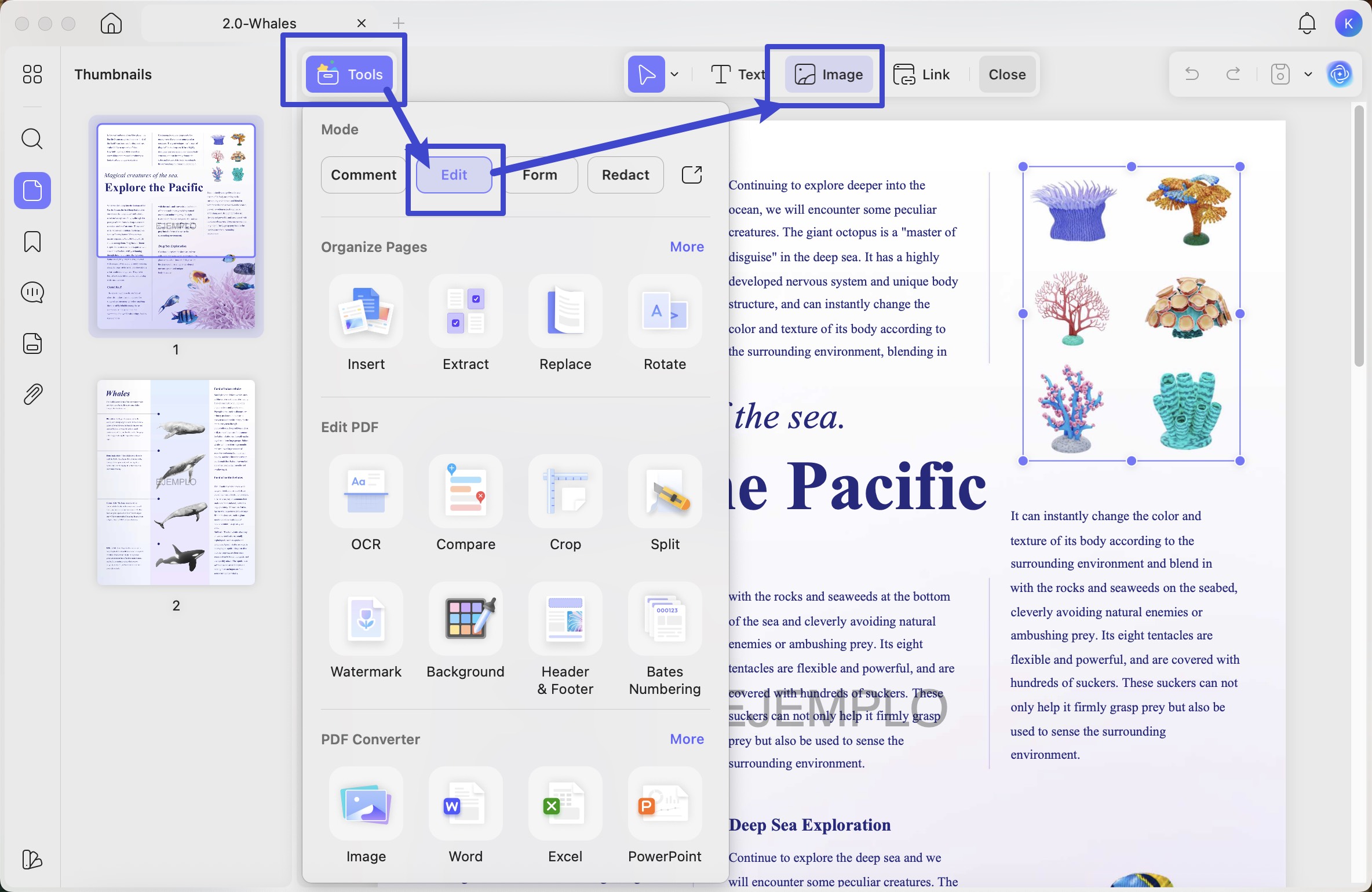 find image icon