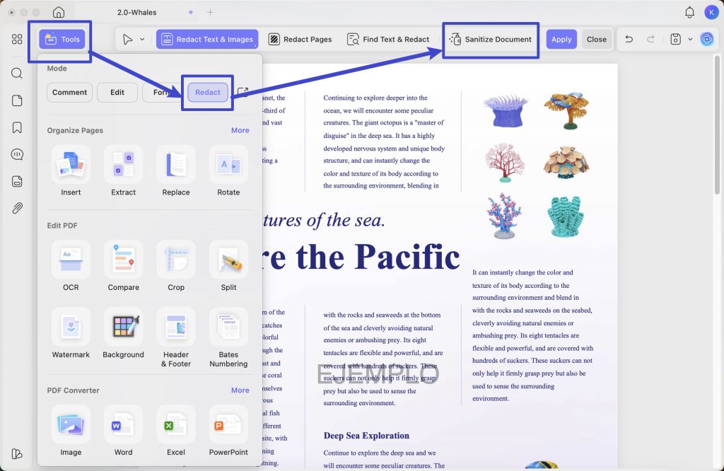 find sanitize document