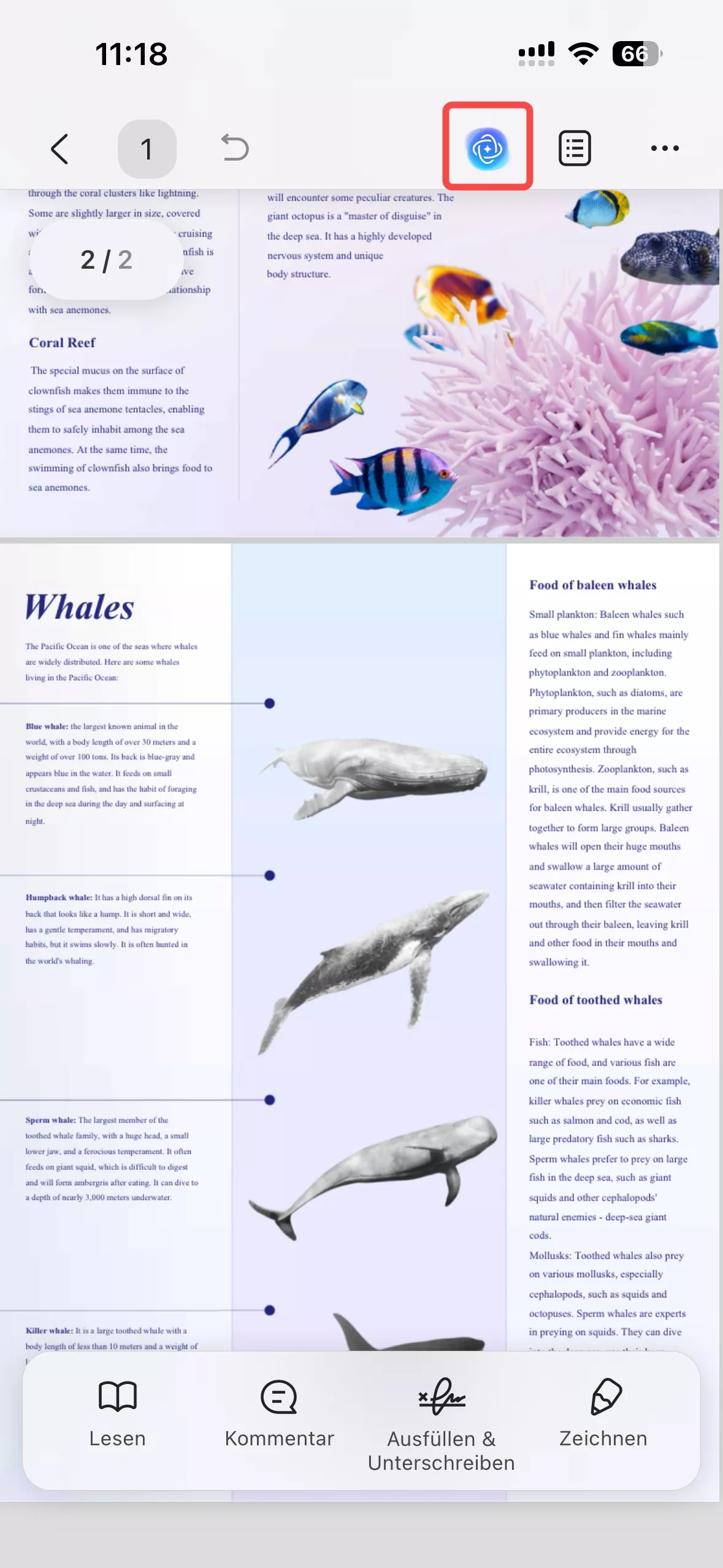 ausgewählte Seiten in eine andere Sprache konvertieren
