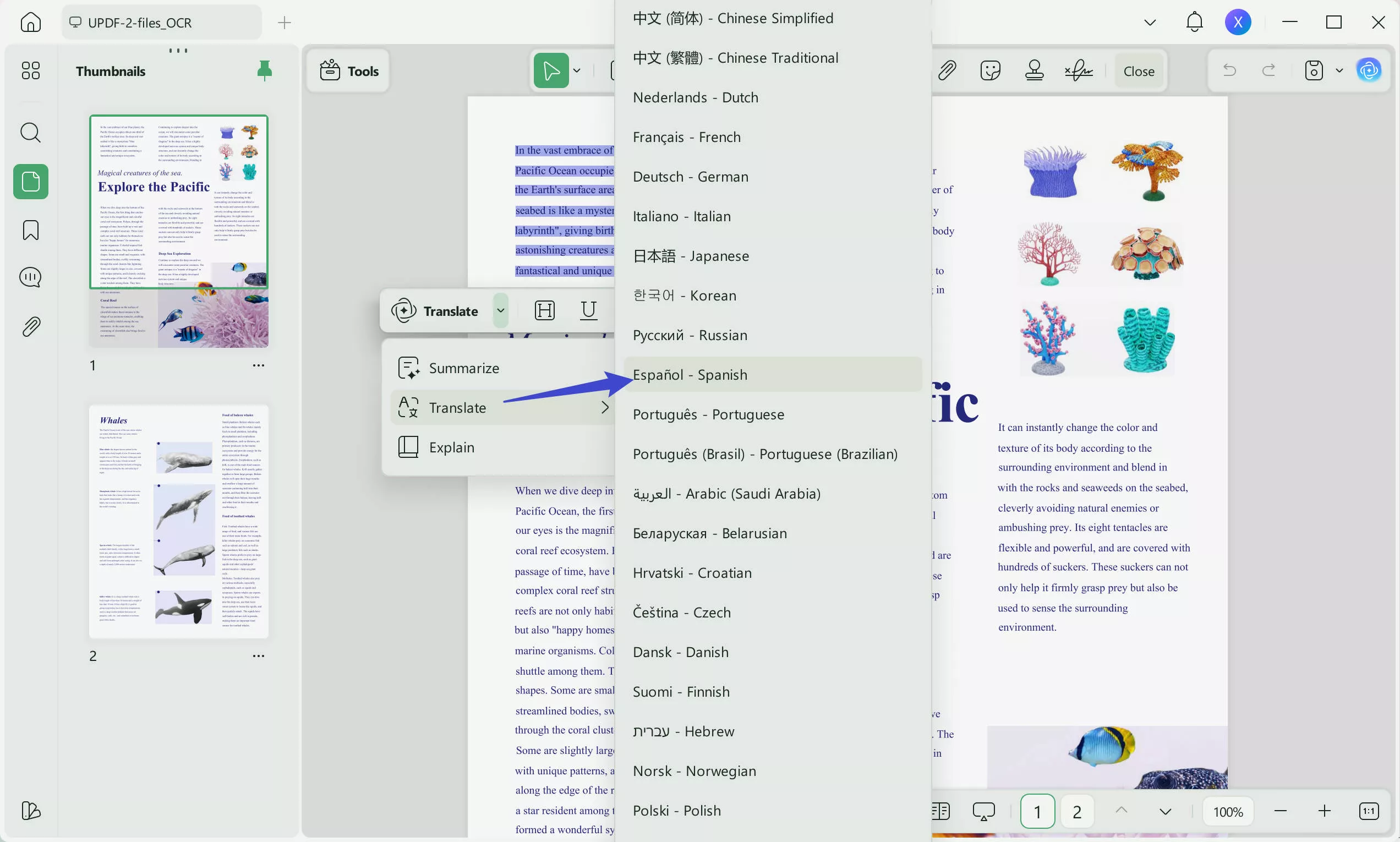 English to Spanish PDF translation