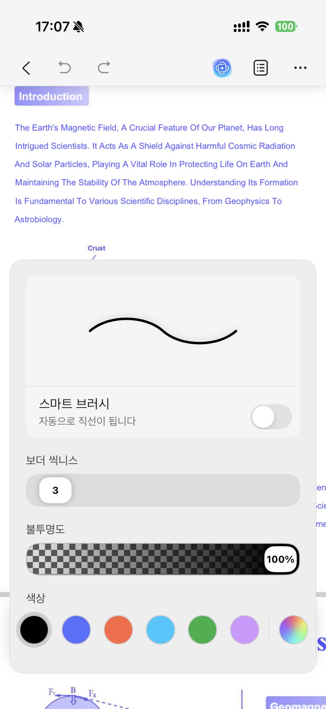 지정의 설정