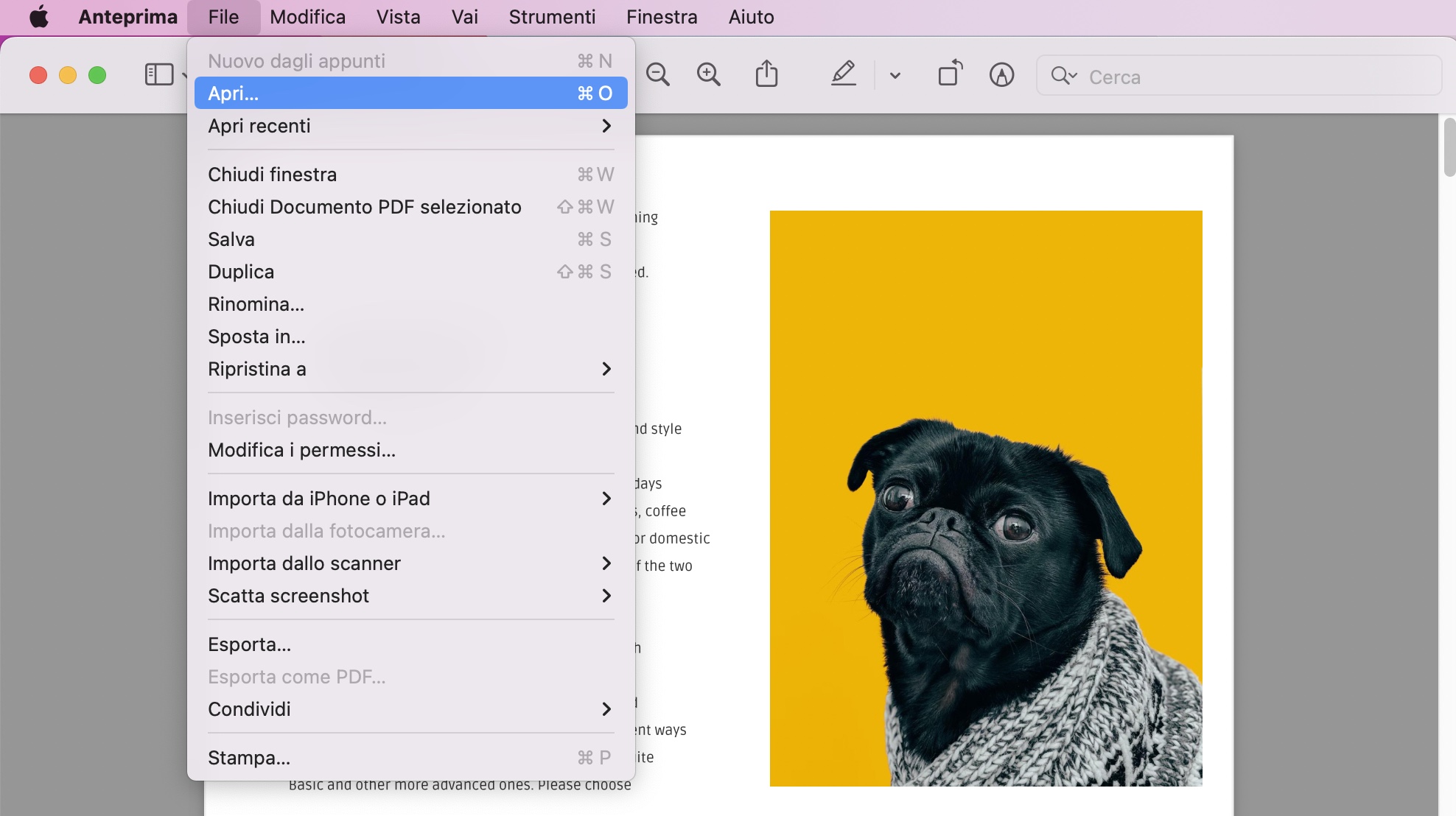 convertitori PDF per Mac Anteprima