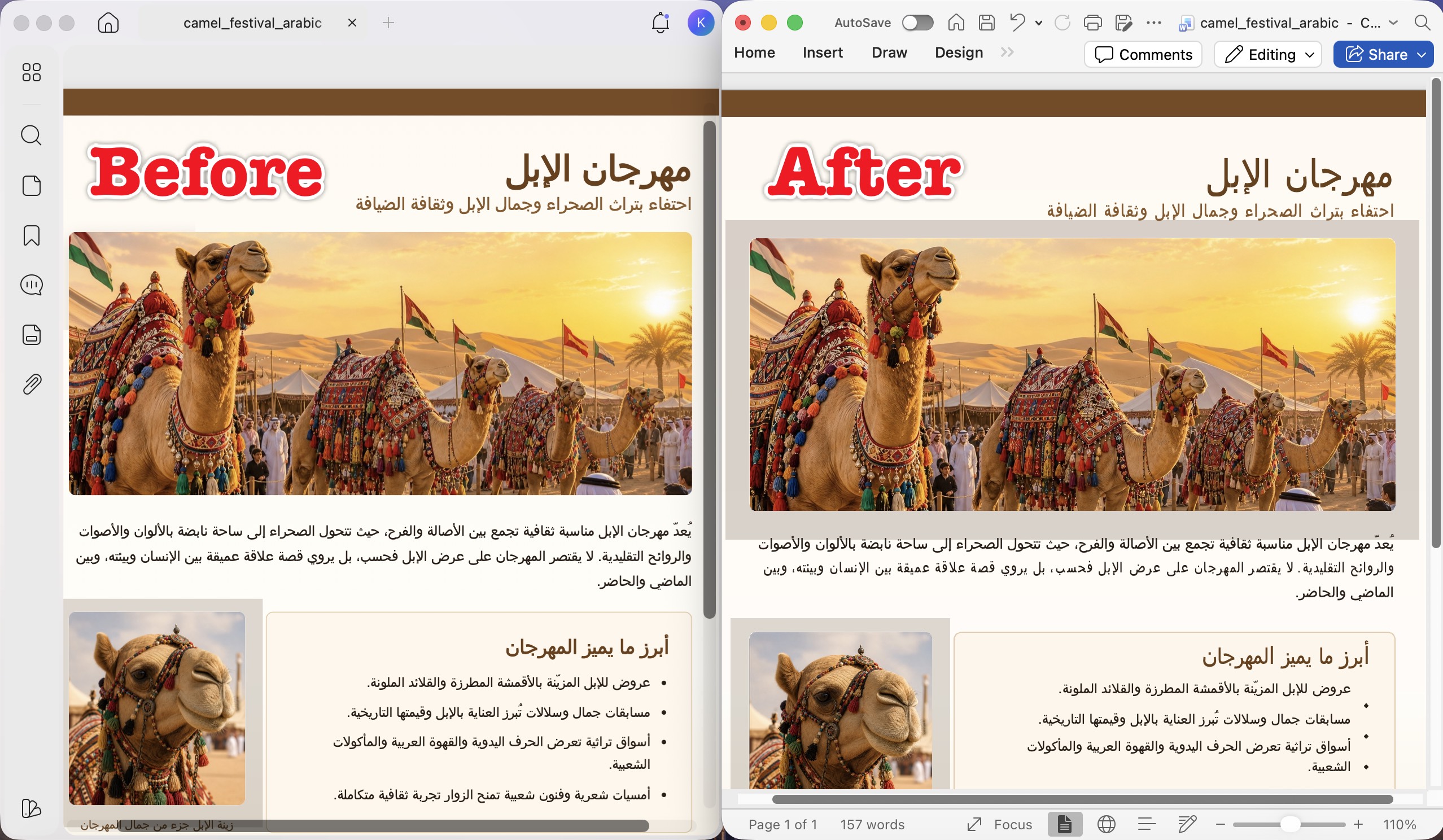 convert arabic pdf to word before and after