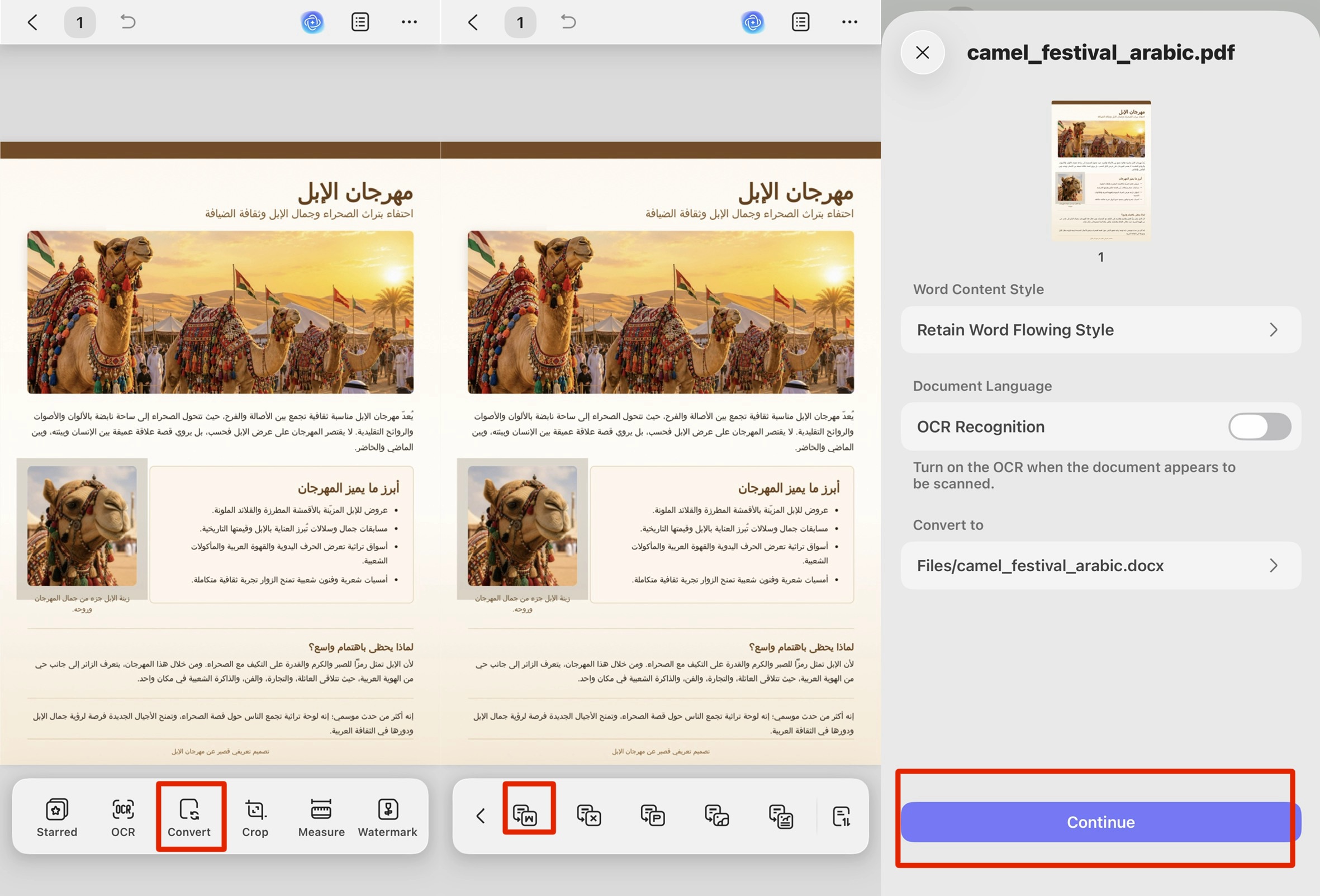 convert arabic pdf to word on iphone