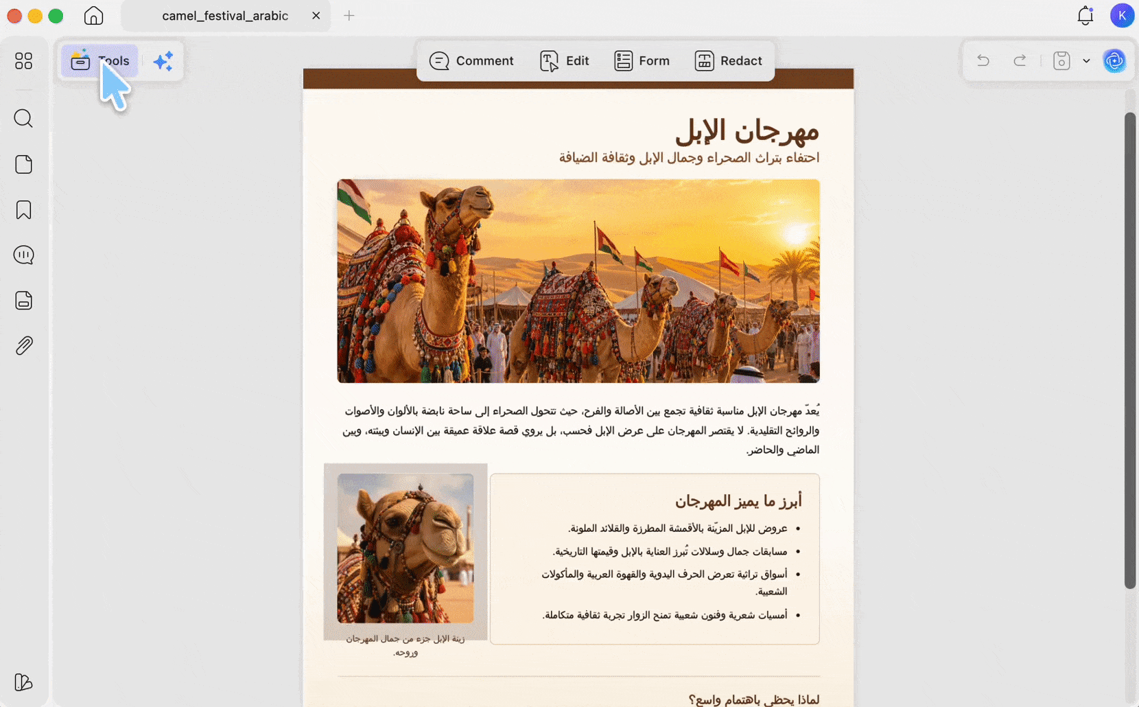 convert arabic pdf to word