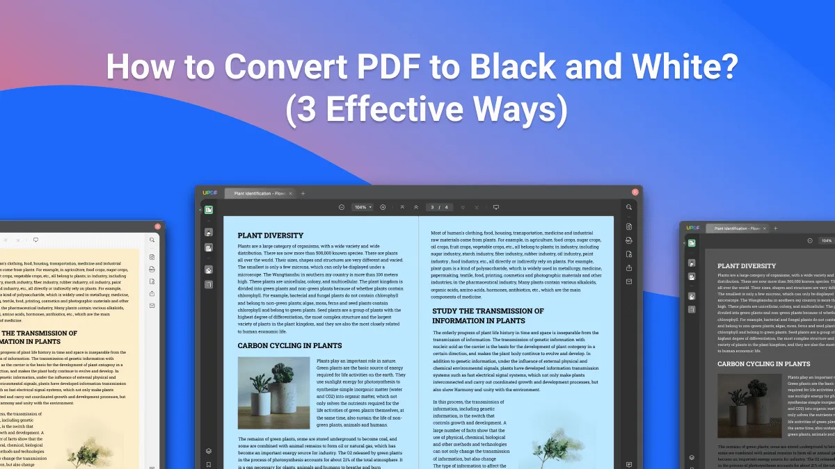 How to Convert PDF to Black and White? (3 Effective Ways)