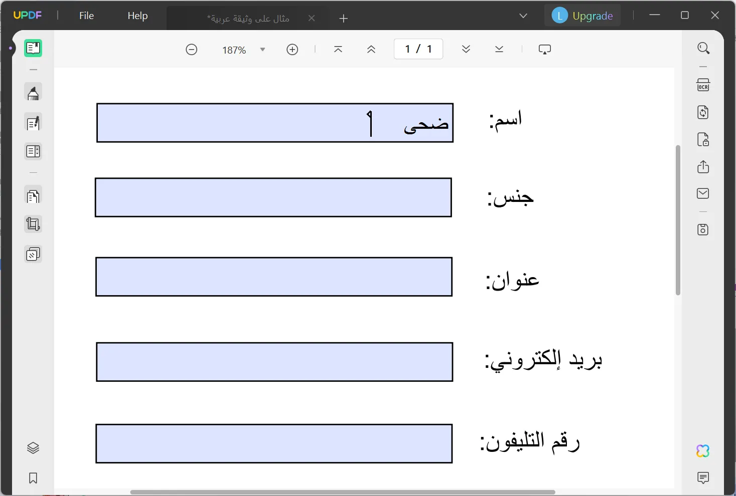 arabic pdf editor fill the form in arabic