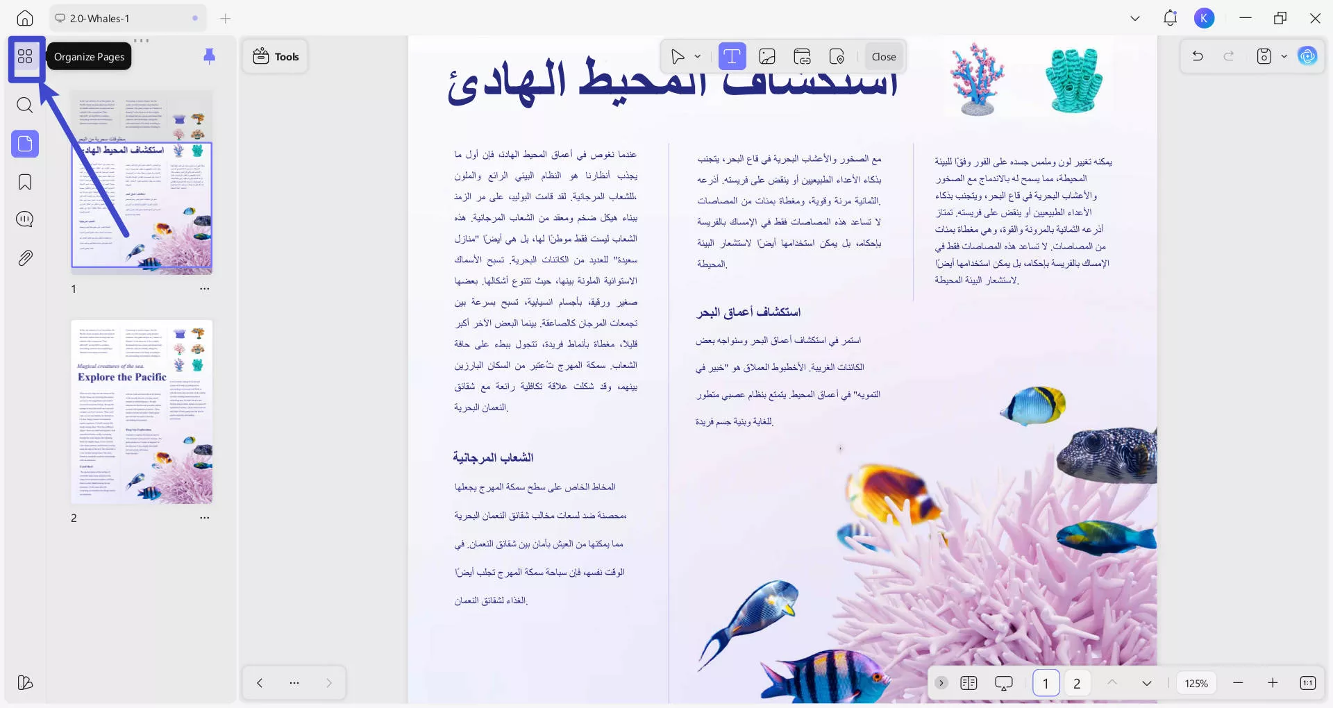 find organize pages in updf