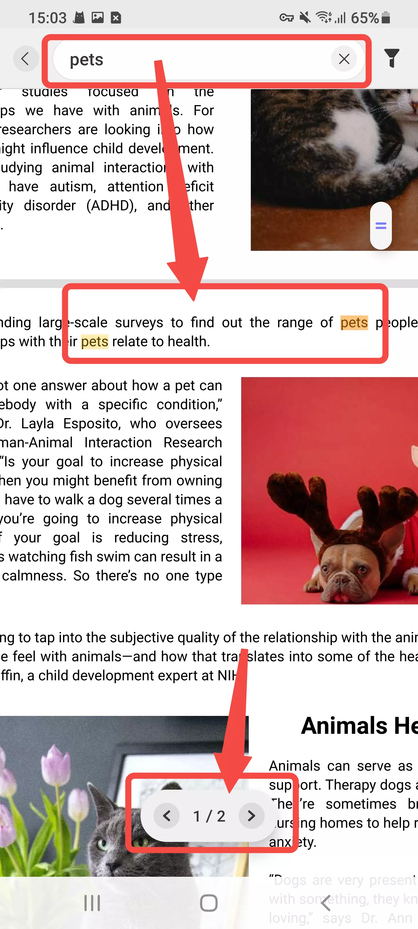 localizar a palavra no pdf