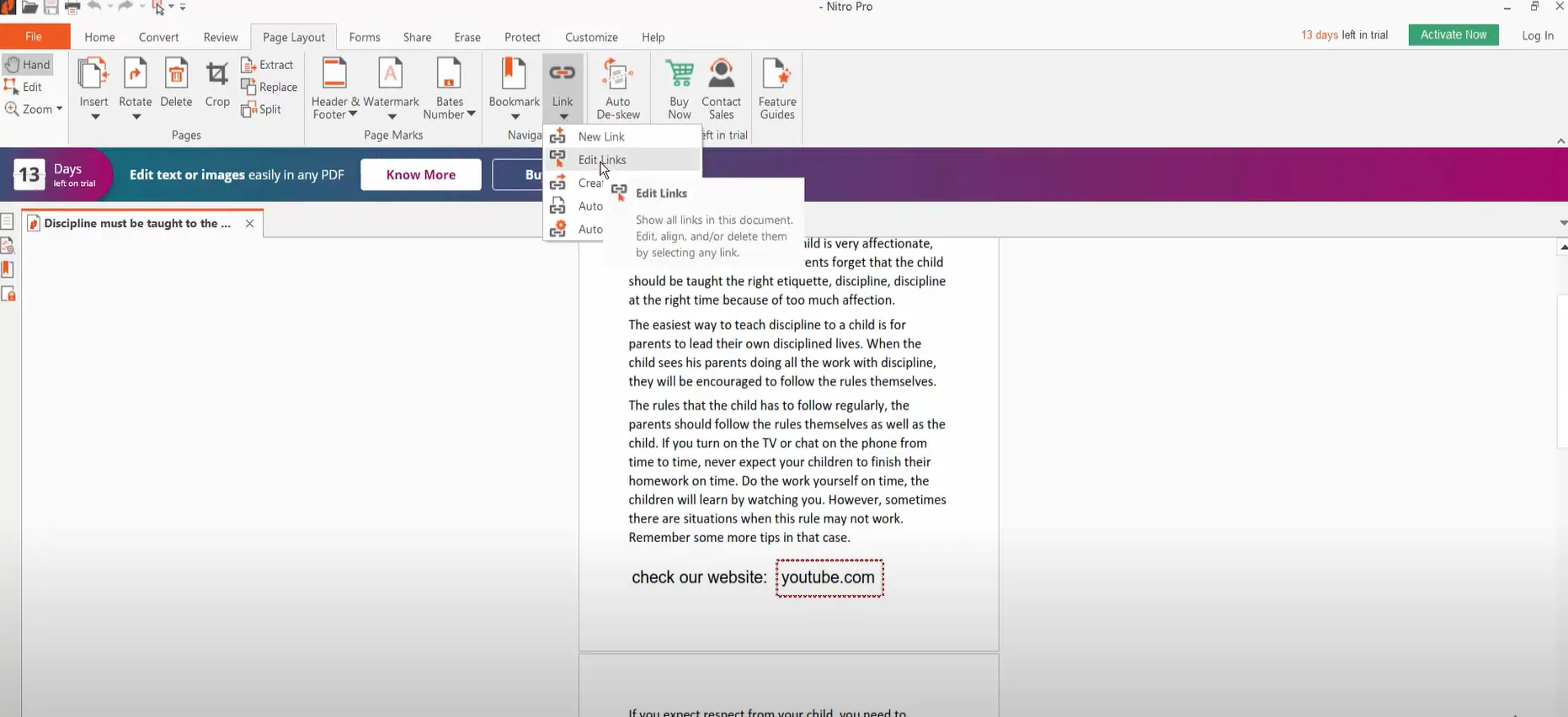 Nitro PDF link editor